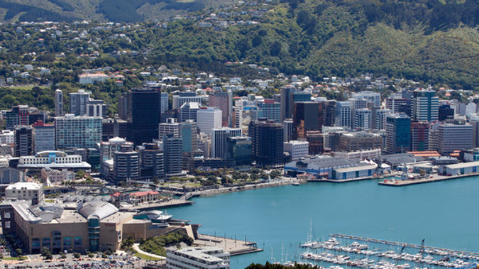 Wellington city councillors have approved a new Wellington Town Belt management plan. (Mark Mitchell)