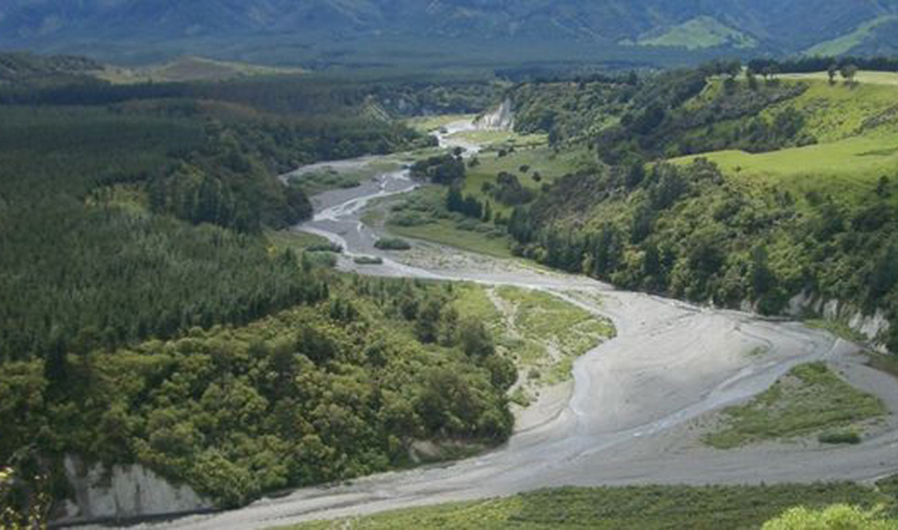 Forest & Bird defends NZ conservation land in Supreme Court