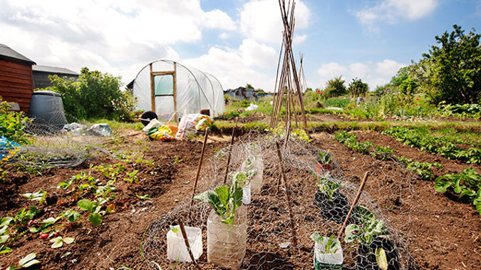 This year’s National Gardening Week is about getting everyone into the garden, whether experienced, passionate gardeners or just starting out. (Photo: Getty Images)