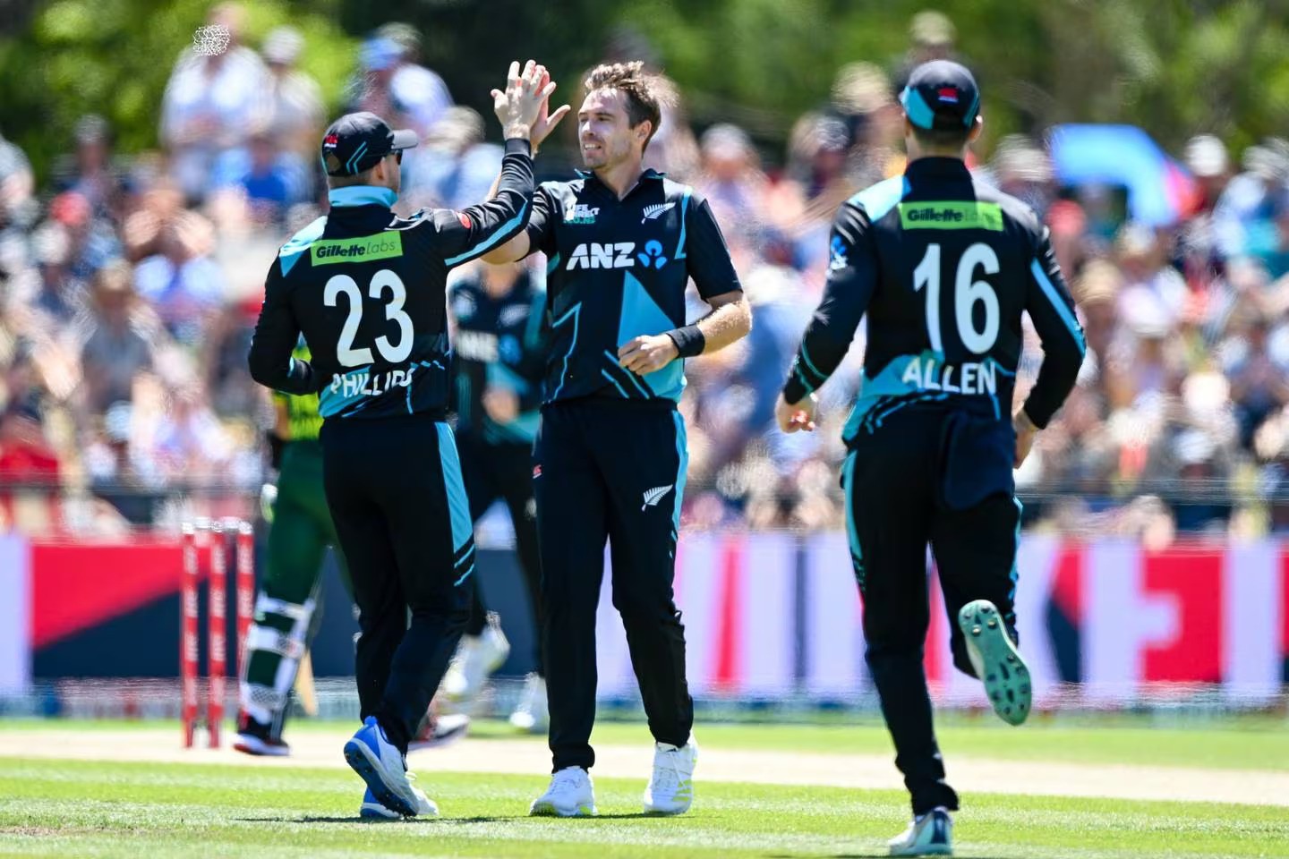 Tim Southee celebrates a wicket during the fifth T20. Photo / Photosport