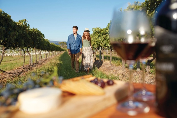 (Photo / Tourism Queensland)