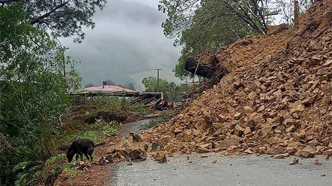A slip in the Rai Valley. Photo / Facebook / Rai Valley residents group