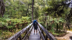 A hiker crosses a bridge on the Abel Tasman Coast Track. Photo / Tamzin Henderson