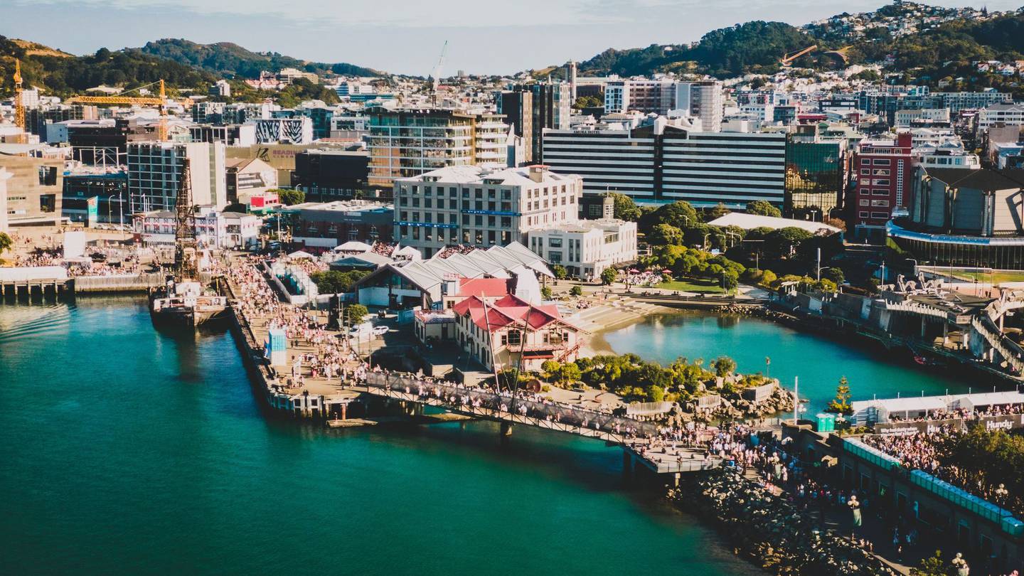 Homegrown has been cancelled this year. Photo / Brady Dyer