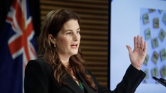 Finance Minister Nicola Willis during the release of the Budget Policy Statement. Willis says MFAT 'will be making back office savings'. Photo / Mark Mitchell