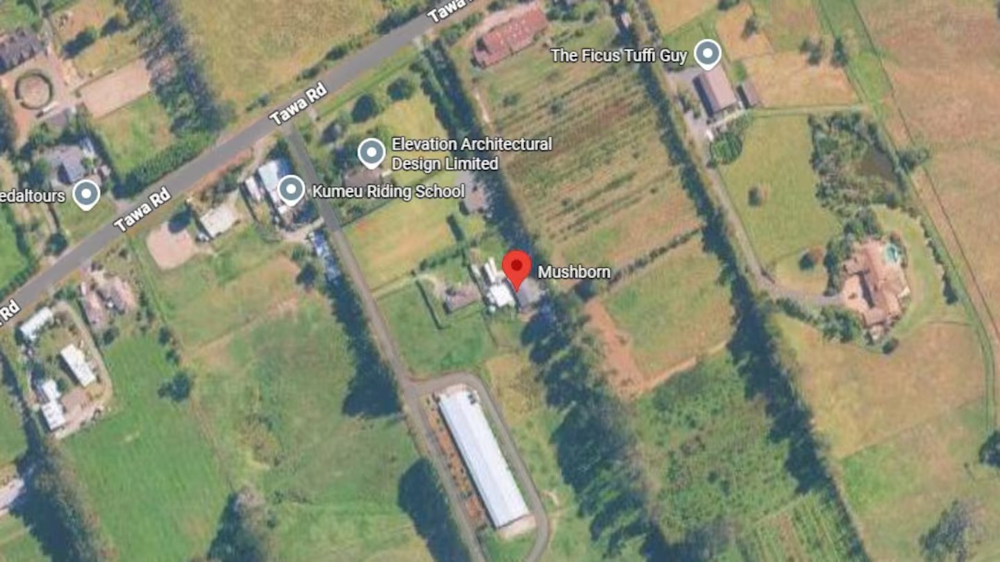 Fire crew battle shed blaze at Auckland mushroom farm