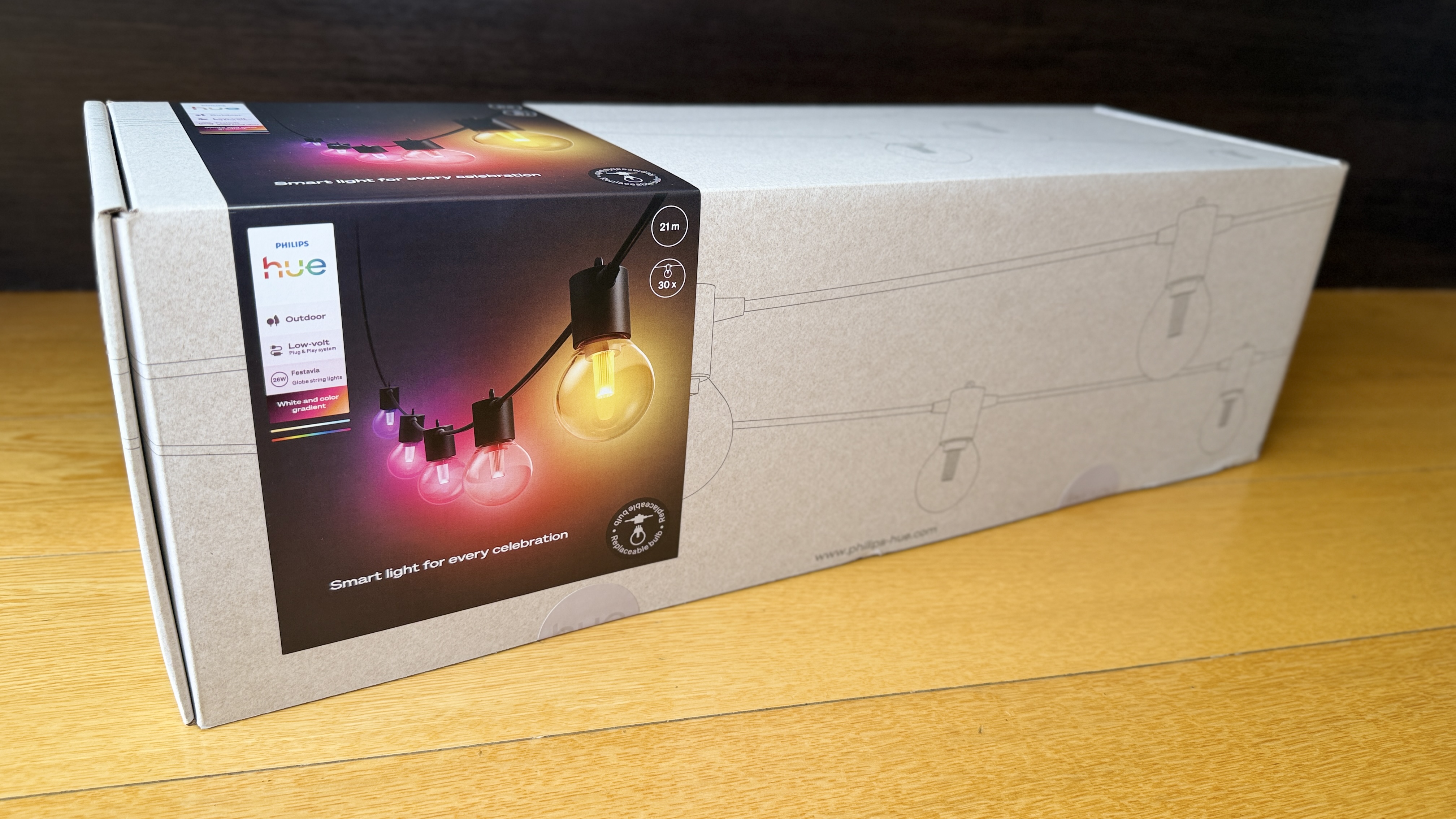 Philips Hue Festavia Globe Outdoor String Lights - A Long Line of Quality