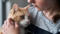 Pet refuge welcomes changes to the Residential Tenancies Act