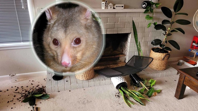 he scene of the crime. (Photo / Supplied)