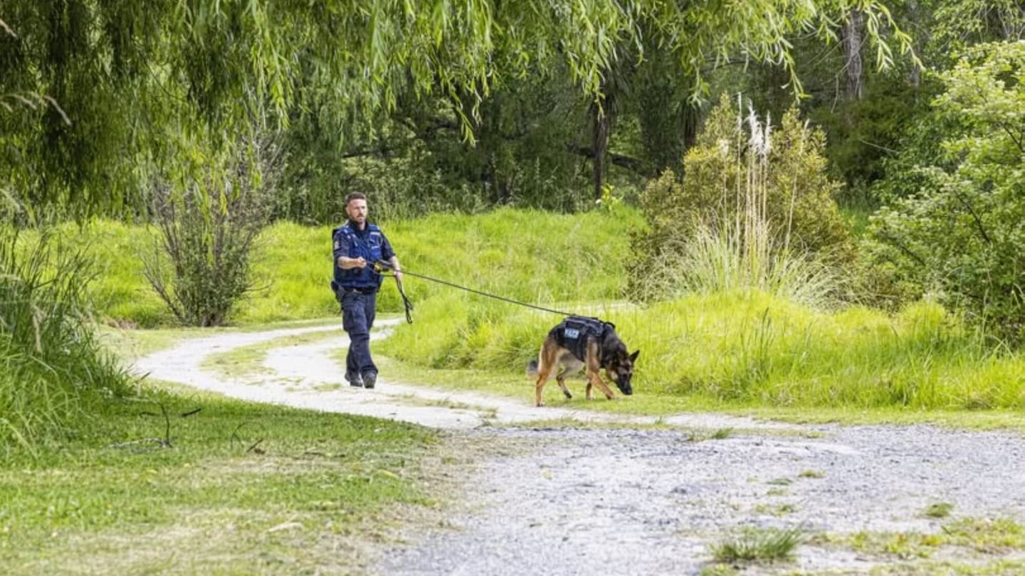 Search and Rescue dog Teo and her handler, Senior Constable Adam Johannsen. Photo / NZ Police