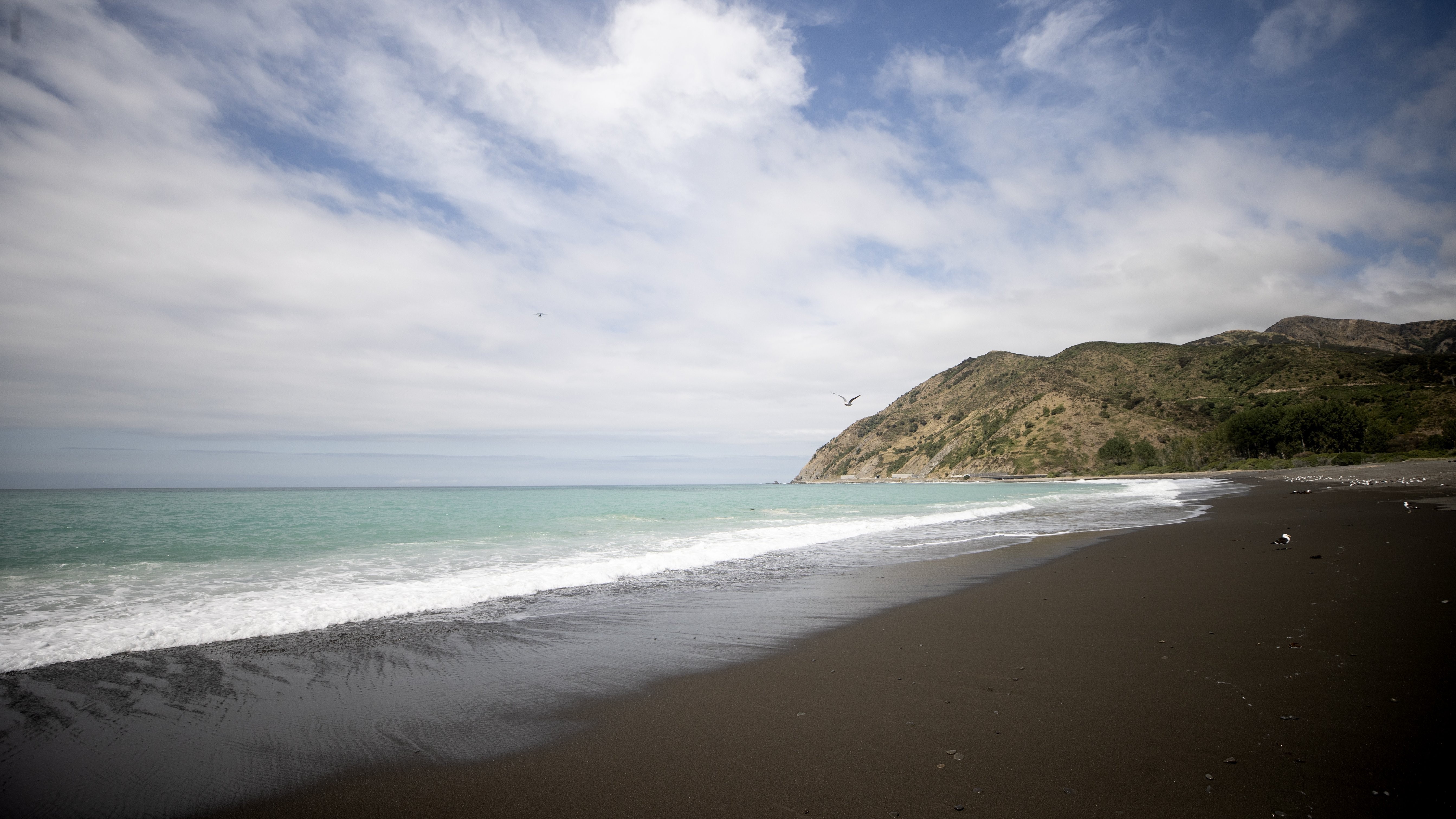 "True New Zealand location": Visitors flock to Kaikoura in busiest summer in a decade 