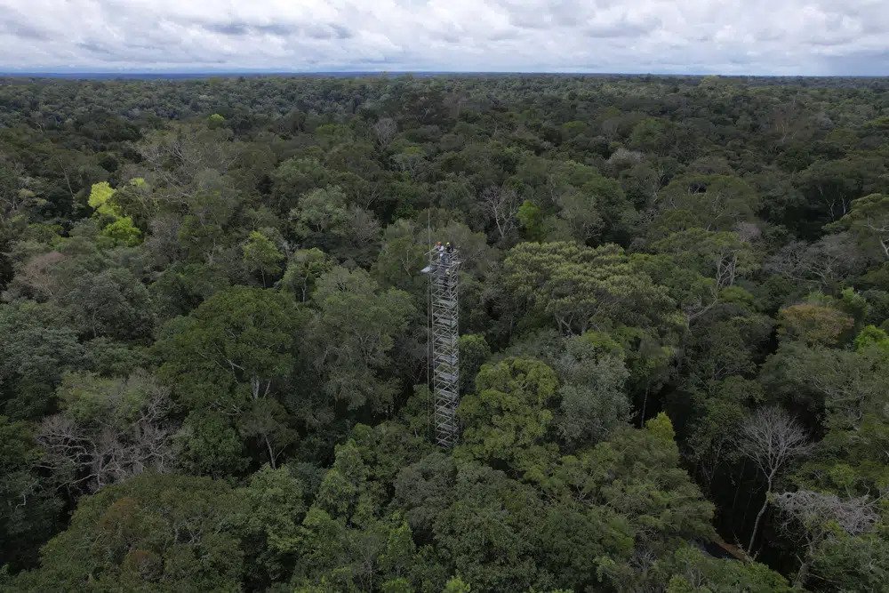 Workers appear on a tower that will be part of a complex of towers arrayed in six rings to spray carbon dioxide into the rainforest north of Manaus, Brazil, on Tuesday, May 23, 2023. Each ring will consist of 16 aluminum towers as high as a 12-story building. The aim is to understand how the world’s largest tropical forest responds to climate change. (AP Photo/Fernando Crispim)