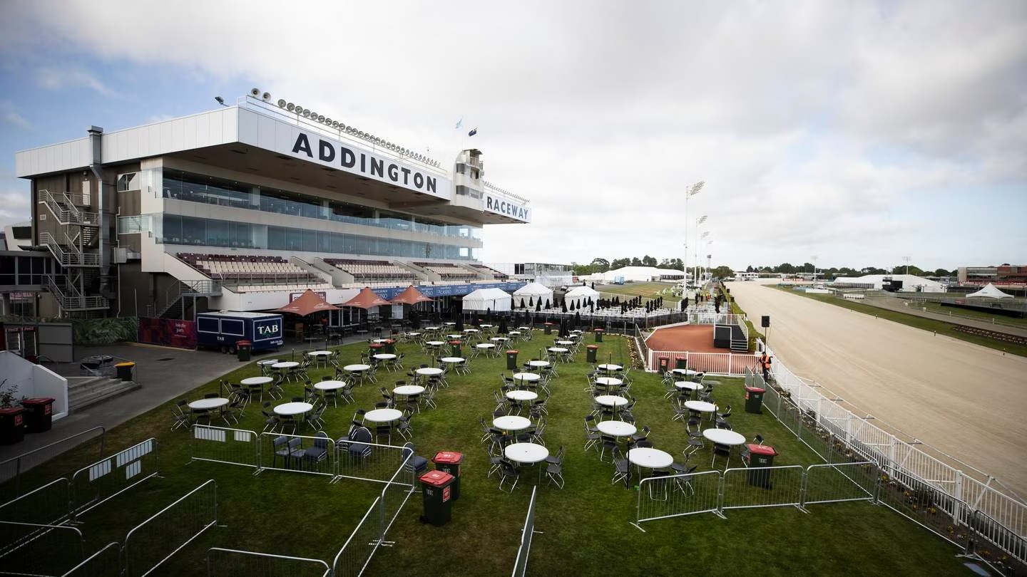 Rakero Rebel was scratched from a race with a total stake of $140,000. Photo / George Heard