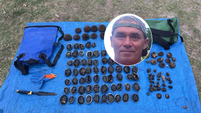 Undersized pāua seized by a fishery officer in Pāuanui when local Hamish McNabb stepped in to block poachers.