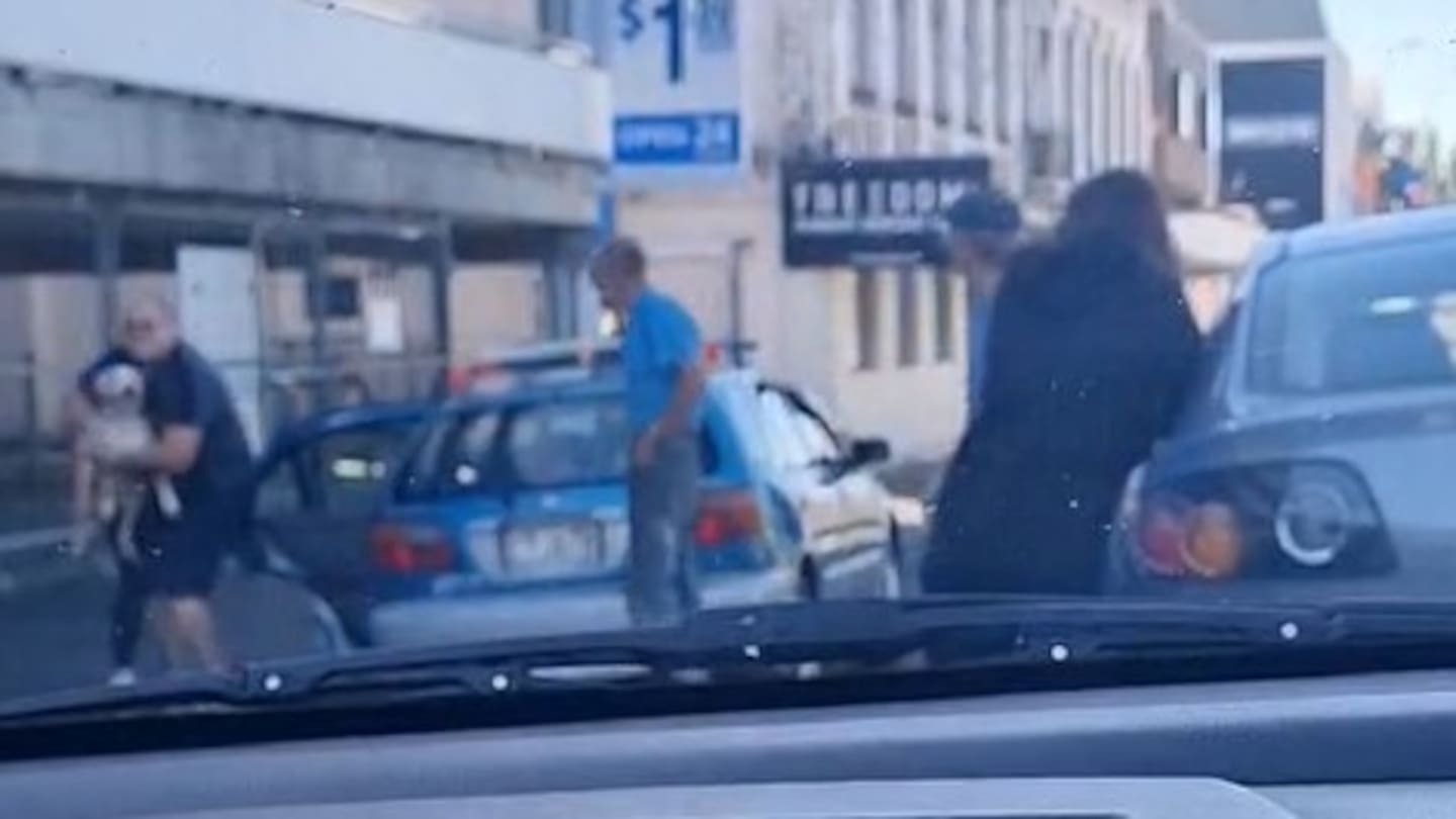 Drink-driver David Allan Devenport, pictured in the blue polo shirt at the rear of his vehicle, watched as a member of the public removed his dog from his car to take her to the vet. Photo / Supplied