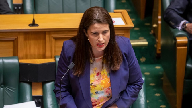 National Deputy Leader Nicola Willis. Photo / Mark Mitchell