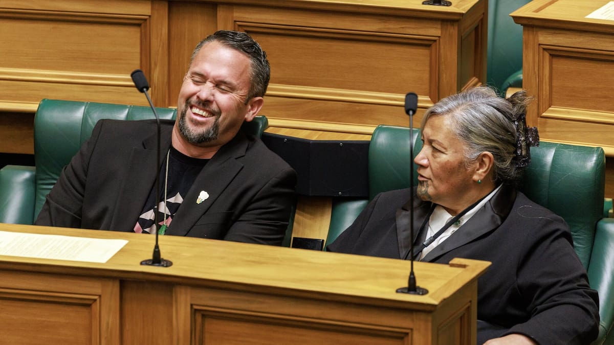 Two Te Pāti Māori MPs ousted as party scrambles to reset waka ahead of 2026 general election