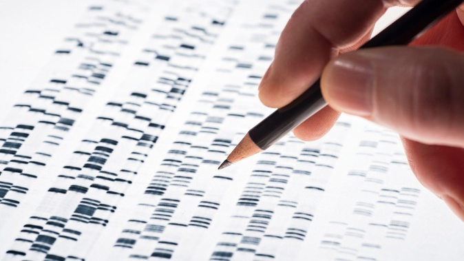 DNA testing hit the mainstream a few years ago. Photo / 123RF