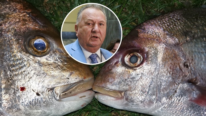 Bill would remove commercial minimum snapper size under fisheries reforms