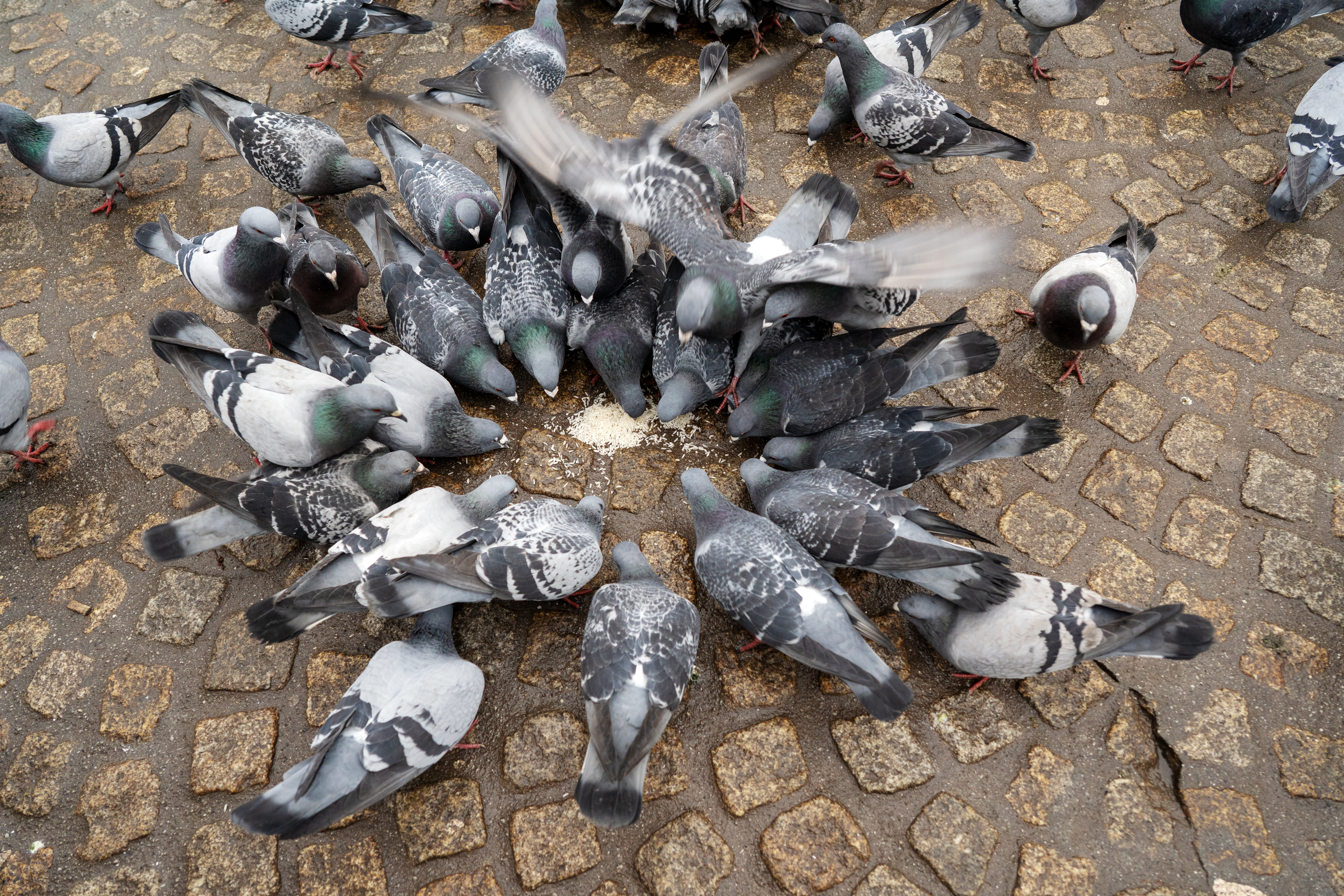 Photo / Getty Images