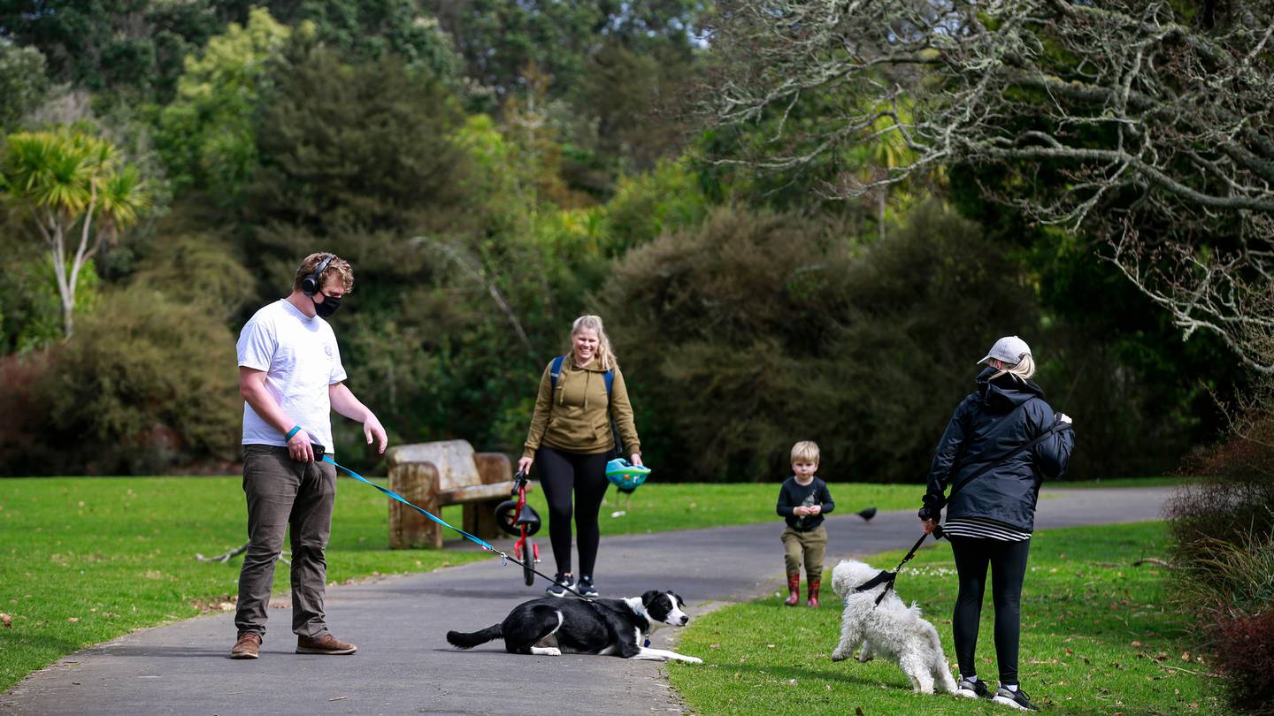 From Wednesday loved ones will be able to gather outdoors. (Photo / Alex Burton)