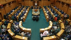 MPs in Parliament's Debating Chamber for the Opening of Parliament in 2023. Photo / Mark Mitchell