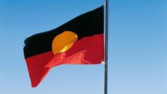The indigenous flag of Australia. (Photo / Getty Images)