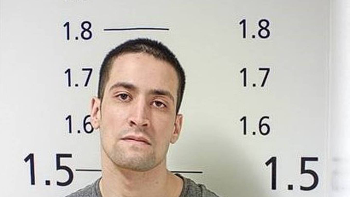 Te Ariki Poulgrain is dangerous and should not be approached. Photo / NZ Herald