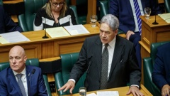 Deputy Prime Minister and Foreign Minister Winston Peters is acting Prime Minister today. Photo / Mark Mitchell