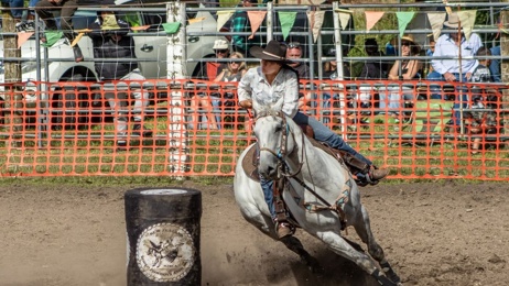 Gisborne Rodeo draws record crowd, organisers say