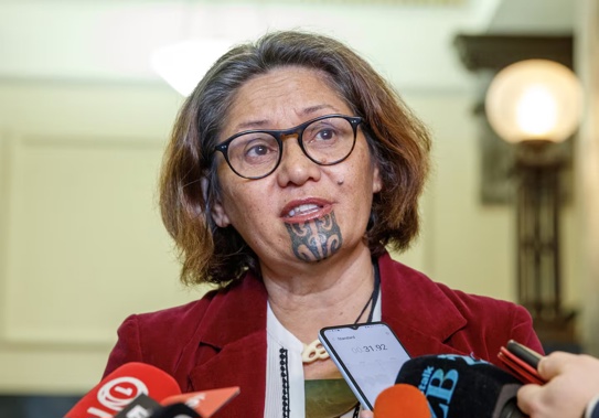 Former Green MP Darleen Tana. Photo / Mark Mitchell