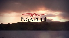 Te Rūnanga-Ā-Iwi-Ō-Ngāpuhi. Image / Whakaata Māori