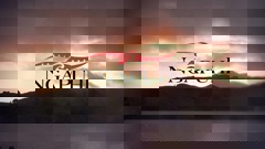 Te Rūnanga-Ā-Iwi-Ō-Ngāpuhi. Image / Whakaata Māori