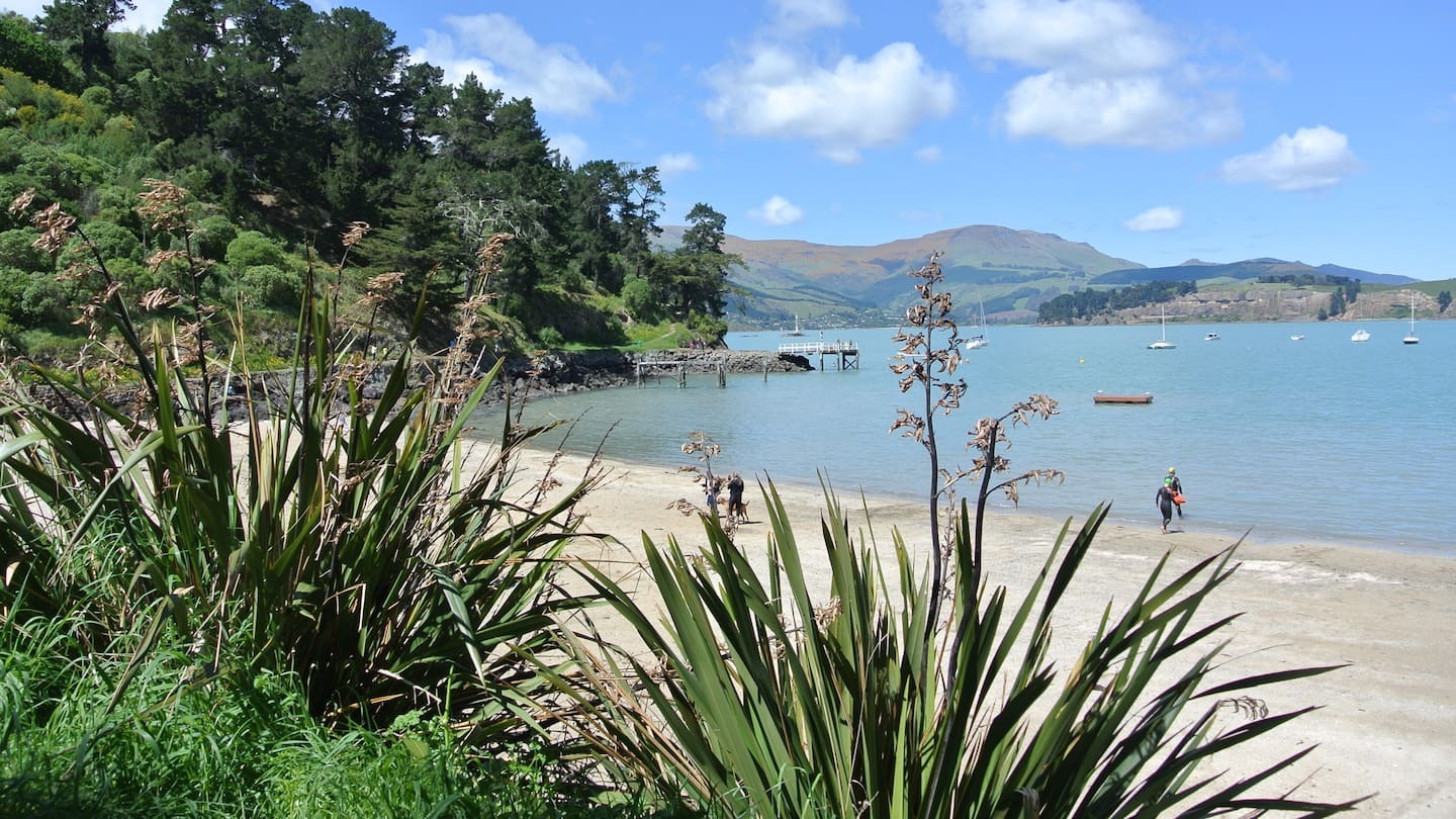 'Had me retching': Popular Christchurch beach closed due to 'ungodly' smell