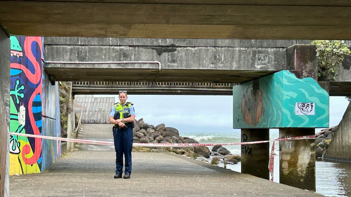 Police have charged one man with murder after the incident on St Aubyn St last night. Photo / NZME