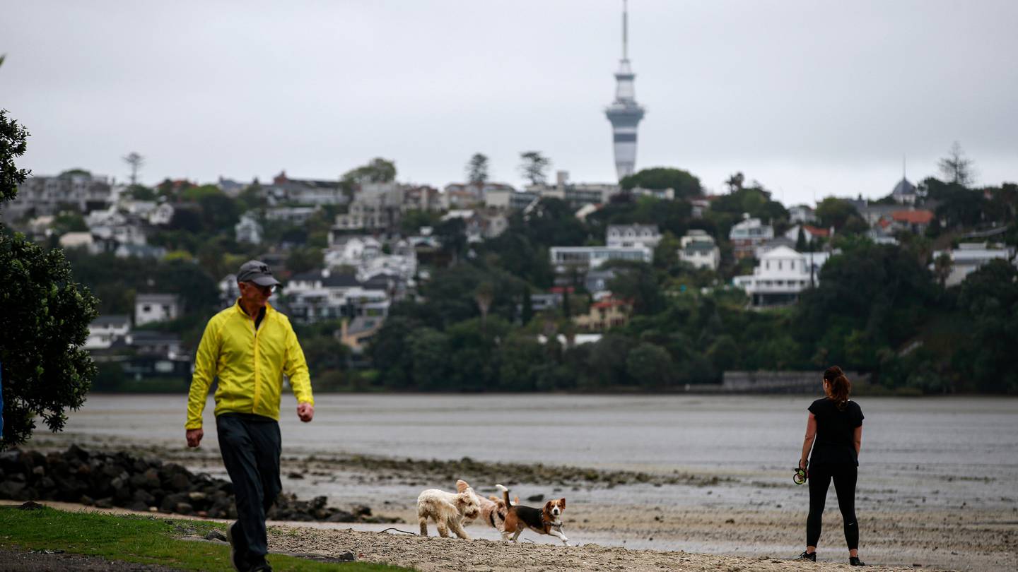 (Photo / Alex Burton)