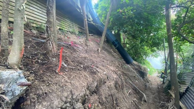 Tim Foote and his partner have been hit with a $300,000 bill after two landslides on their Vogeltown property in Wellington. Photo / Supplied