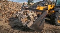 John Caulton, the owner of both Donovan’s and Woodstocks Firewood, says the firewood industry is “ridiculously” unregulated. Photo / Warren Buckland