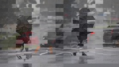 More rain is expected during the coming week. Photo / Alex Cairns