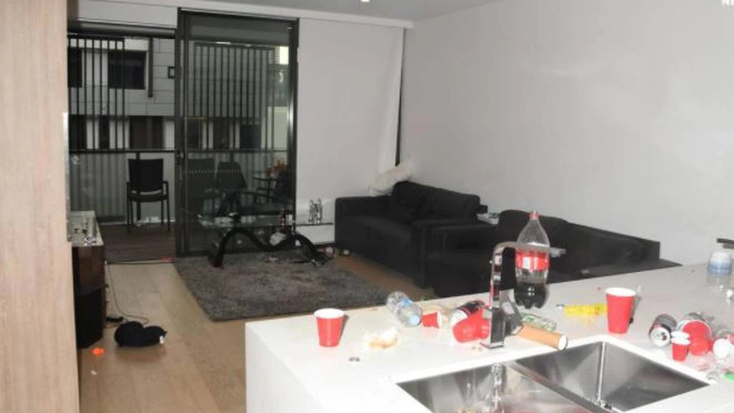 A series of public order incidents have taken place during parties across Sydney. Photo / NSW Police