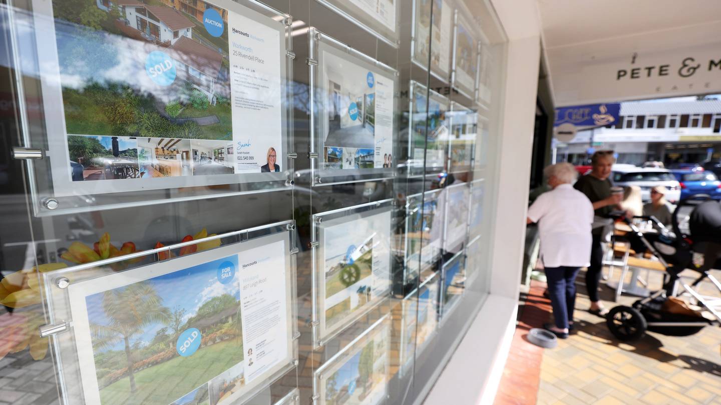 Photo / Fiona Goodall