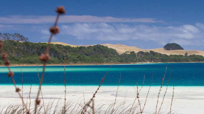 Shakib Tahir, 4, drowned at Kai Iwi Lakes in Northland on January 4, 2022. (Photo / Getty)