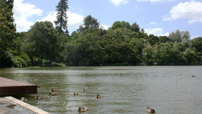 Hamilton Gardens (via Wikimedia)