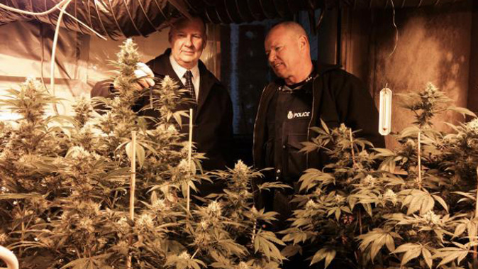 Detective senior sergeant Stan Brown and detective Shane Page in a major cannabis bust. (Supplied)