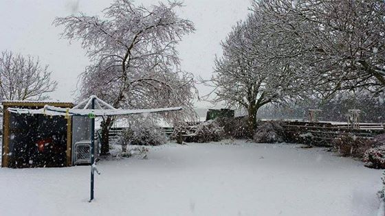 Photo: Maree Reveley