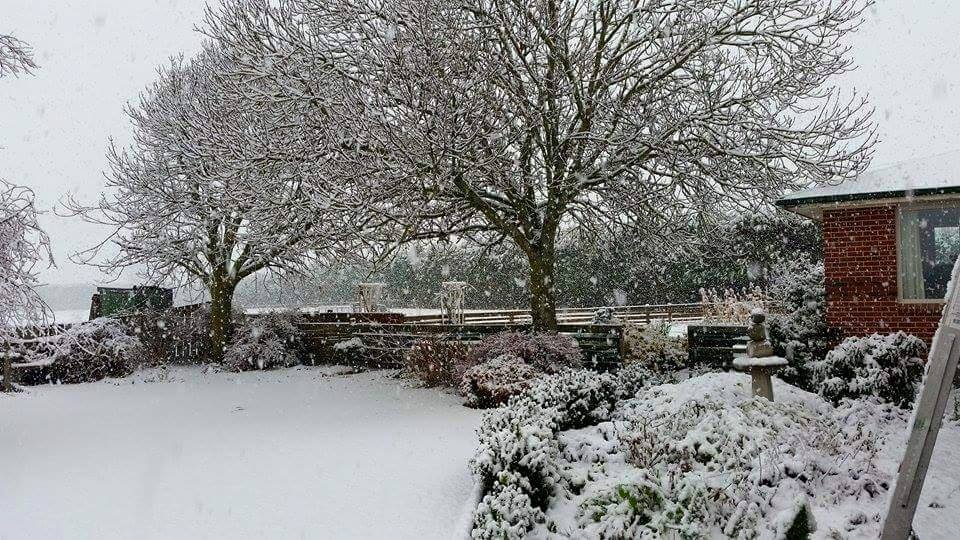 Photo: Maree Reveley