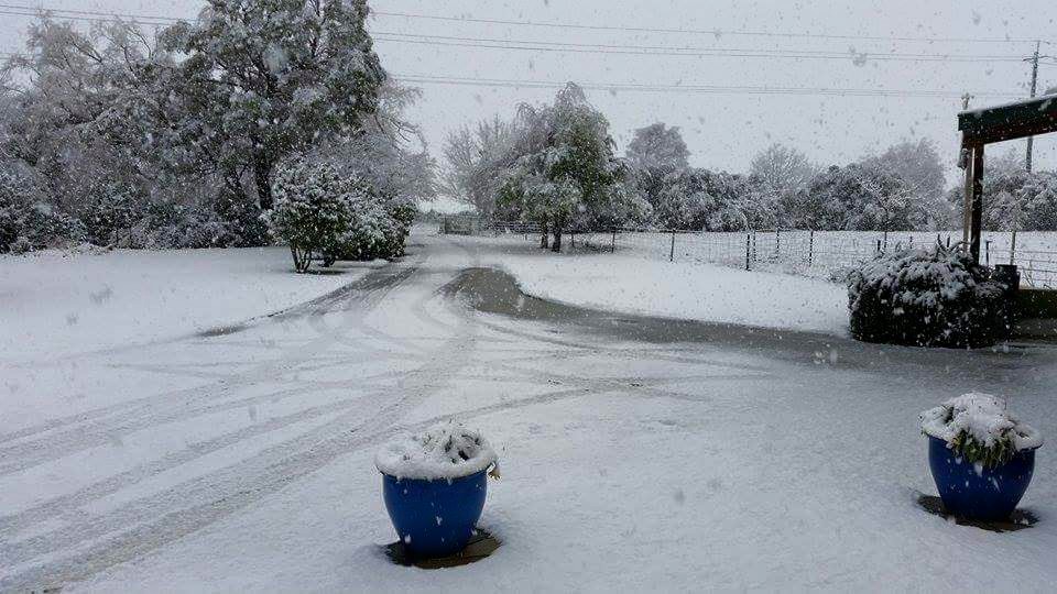 Photo: Maree Reveley