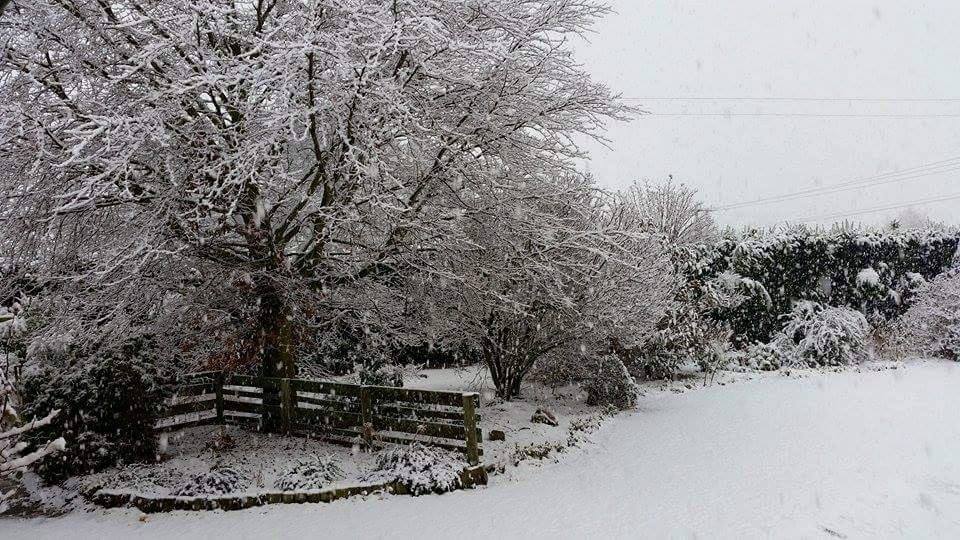 Photo: Maree Reveley