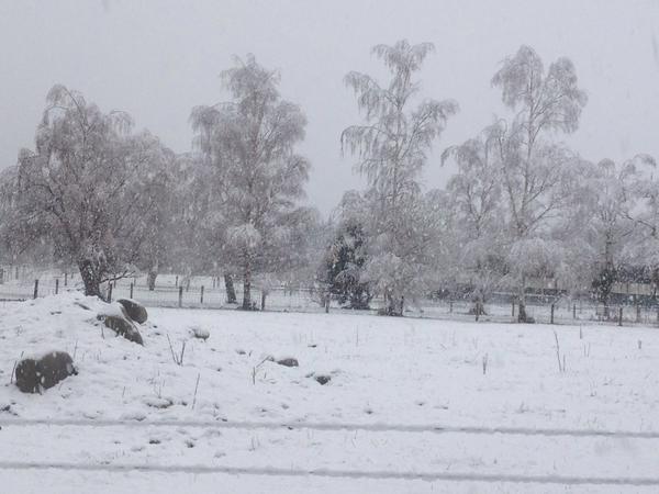 Photo: Pinedale Lodge