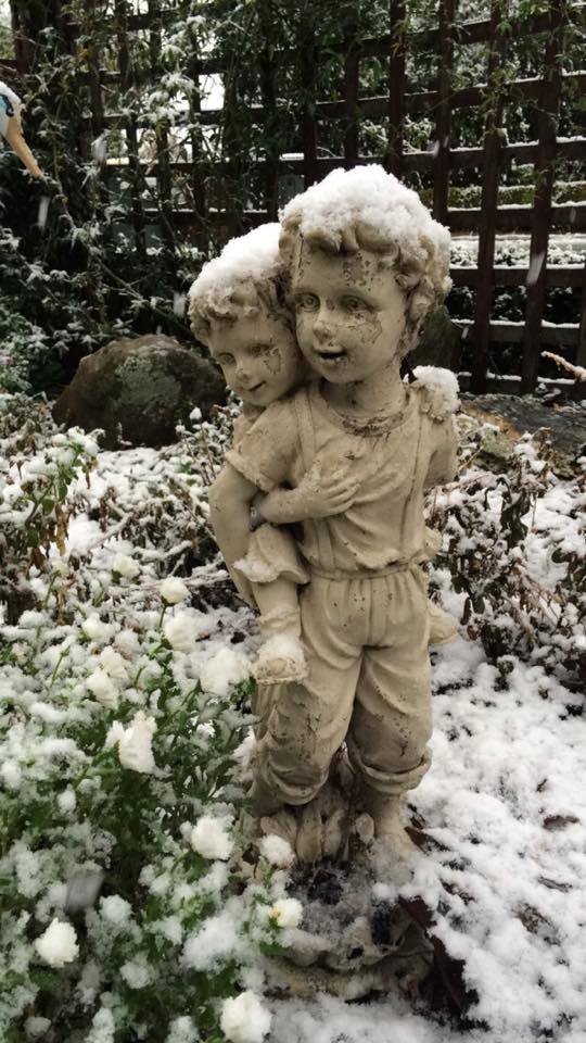 Photo: Shadow-Dawn O'Connor